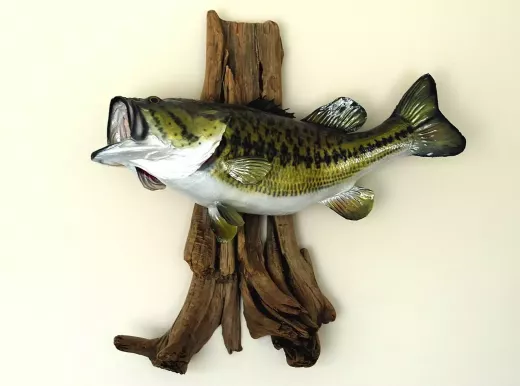 Big Game Fishing הוא לא רק תחביב של עשירים