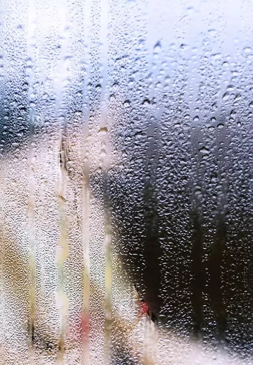 לאפקטים יצירתיים נסה צילום אינפרא אדום